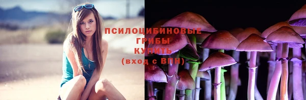 стафф Верхний Тагил