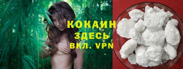 стафф Верхний Тагил