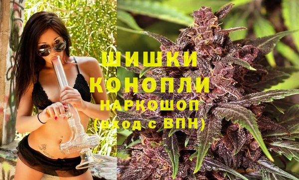 стафф Верхний Тагил